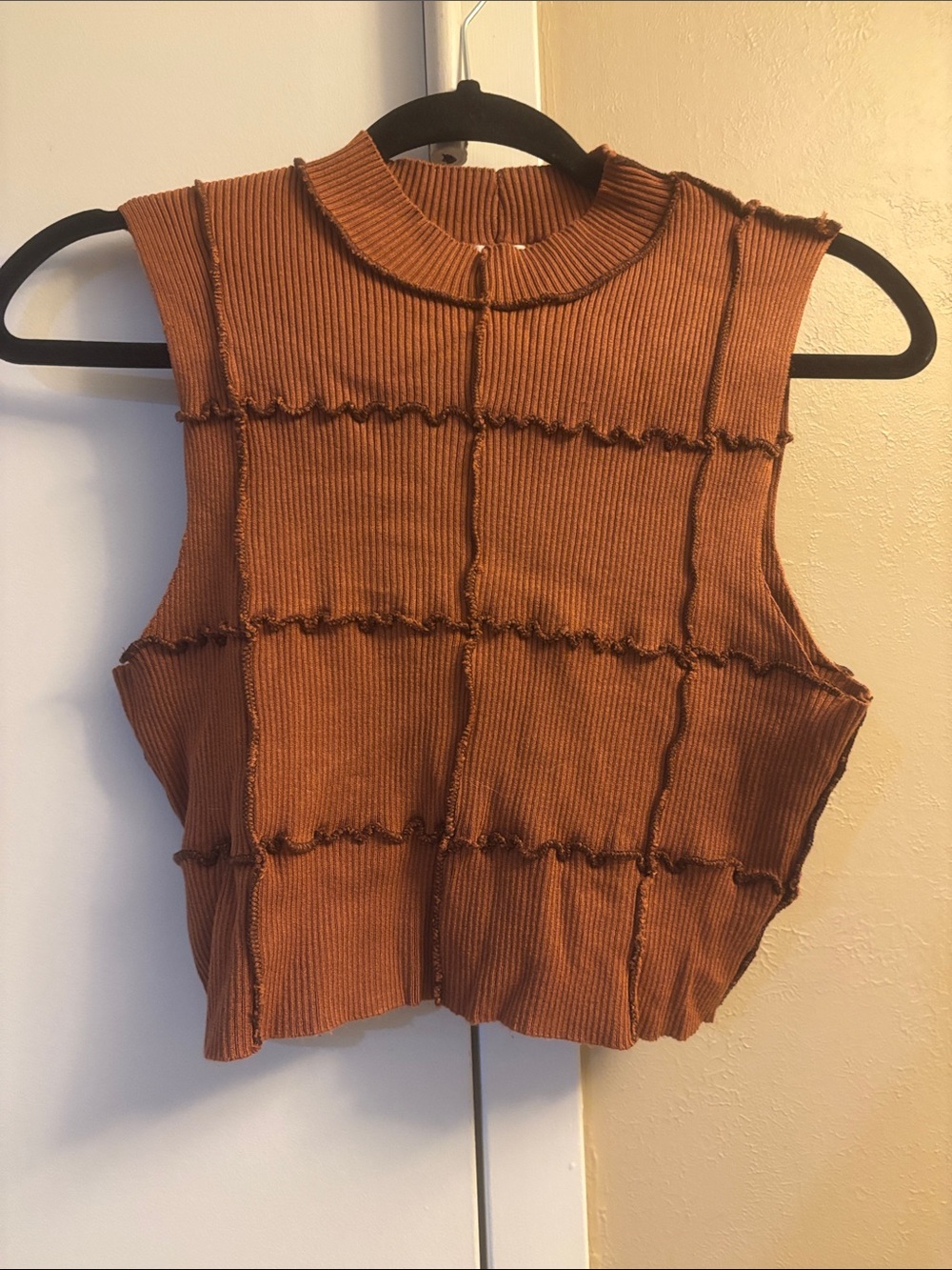 Garage nwot Sleeveless Ribbed Crop Top in Rust